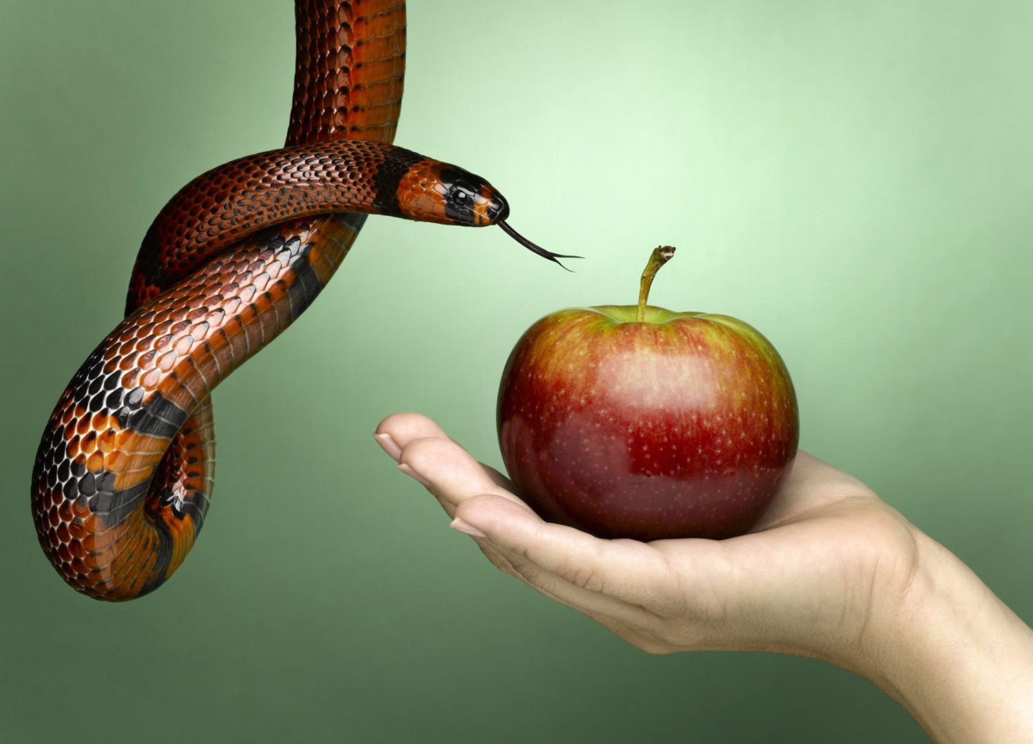 How Do I Overcome Temptation? A Practical Christian Guide
