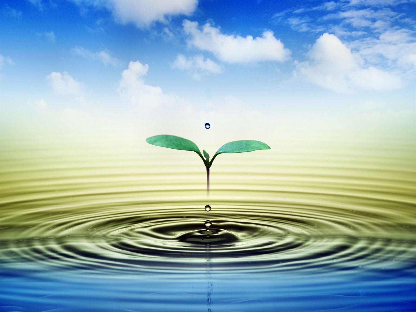 10 Hymns About New Beginnings